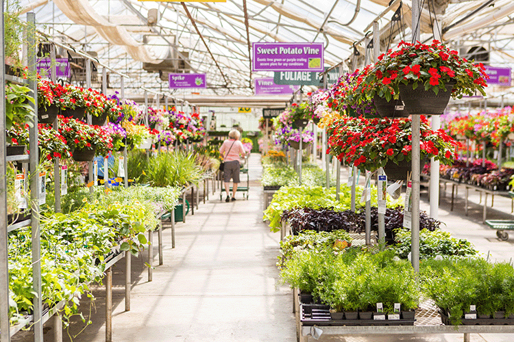 Garden Centres